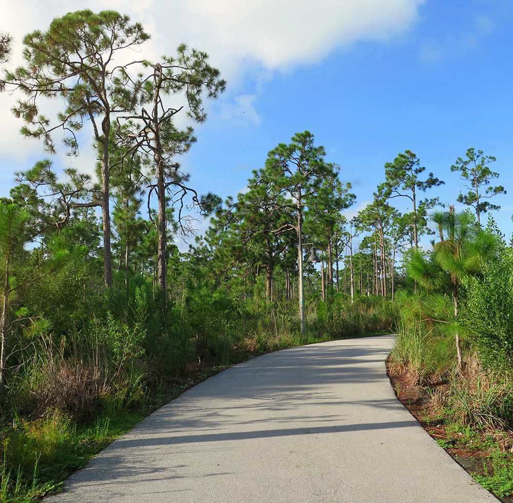 The Greenway Walking Trail